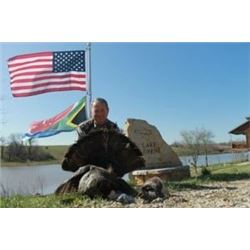 Missouri Turkey & South African Safari Combo