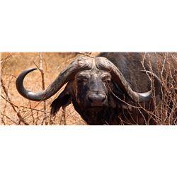 7 Day Thormahlen & Cochran Safari for 2 in South Africa