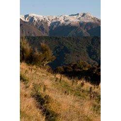 5-Day/4-Night New Zealand Sika Deer with Kaweka Hunting