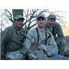 Image 3 : 5-Day Trophy Arizona Mule/Coues Deer Hunt plus Mountain Lion for 1