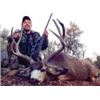 Image 4 : 5-Day Trophy Arizona Mule/Coues Deer Hunt plus Mountain Lion for 1