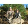 Image 5 : 5-Day Trophy Arizona Mule/Coues Deer Hunt plus Mountain Lion for 1