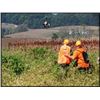 Image 1 : Pheasant Hunting for 1-2 Hunters