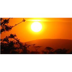 7 day/6 night Photo Safari w/ option to hunt