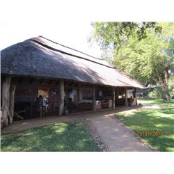 7-Day Tuskless Elephant Hunt