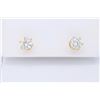 Image 1 : 14KT Yellow Gold 1.00ctw Diamond Earrings