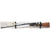 Image 1 : WINCHESTER 1895 RIFLE