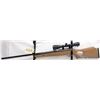 Image 1 : BENJAMIN TRAIL NP XL PELLET RIFLE