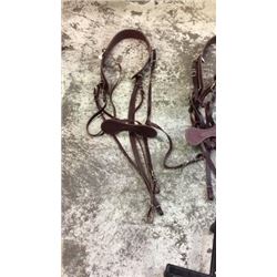 Complete Leather Breechings