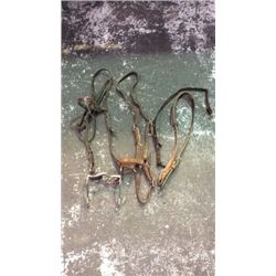 2 Headstalls and Halter