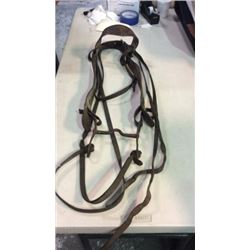 Old Timer Bridle