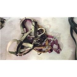 4 Used Halters