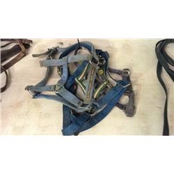 4 Heavy Duty Halters