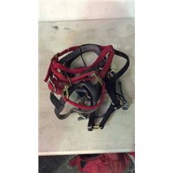 5 Yearling Halters Used