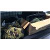Image 1 : Turkey Hunting Equipment