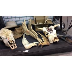 Skulls and Bones