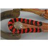Image 8 : large Mexican Spurs