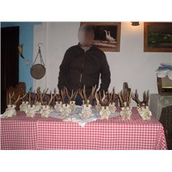 European Hunting Adventures 7-day Roe deer hunt in Serbia