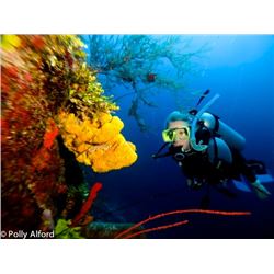 Belize Island Adventure for 2