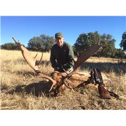 5-Day Hunt in Spain for animals of your choice
