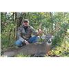 Image 2 : Ohio Whitetail hunt for 2 with $4000 credit