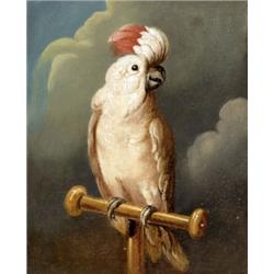 Olasz festo, 19. sz. közepe - Kakadu