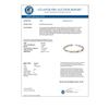 Image 2 : 3.0 CTW Multi-Color Sapphire Bracelet 10K White Gold - REF-47Y3K - 10708