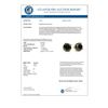 Image 3 : 3.0 CTW VS Certified Black Diamond Solitaire Stud Earrings 14K Yellow Gold - REF-102X9T - 14136