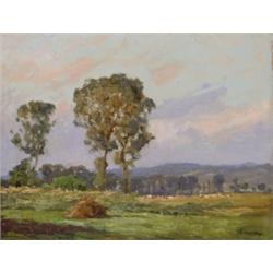 Bosznay István (Csurgó, 1868 - Budapest, 1944) - Fák a domboldalon