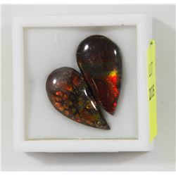 35) SET OF 2 GENUINE CANADIAN AMMOLITE GEMSTONES