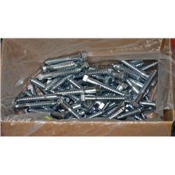 PARTIAL CASE OF LAG BOLTS