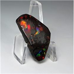 24 - MULTI COLORED FIRE AMMOLITE