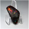 Image 1 : 24 - MULTI COLORED FIRE AMMOLITE