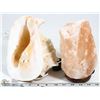 Image 1 : 8" SALT AND SHELL LAMPS, BOTH WORKING