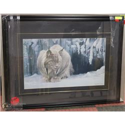 9)DOZING LYNX ARTWORK BY ROBERT