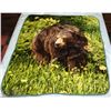 Image 1 : BEAR PRINT THROW BLANKET