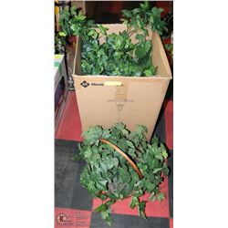 6 SHOWHOME SHELF PLANTS IN DECORATIVE BASKETS