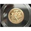 Image 1 : 2012 - 1/25 ounce gold 1cent coin