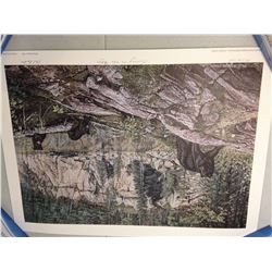 10x Wildlife Litho s Signed and Numbered  Limited Edition