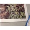 Image 4 : 10x Wildlife Litho s Signed and Numbered  Limited Edition