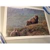 Image 5 : 10x Wildlife Litho s Signed and Numbered  Limited Edition