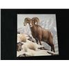 Image 2 : 2014 - $100 Fine Silver Coin  - The Rocky Mountain Bighorn Sheep