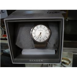 SKAGAEN WATCH IN BOX WORKING