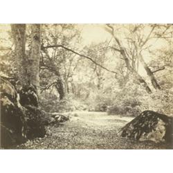 EUGÈNE CUVELIER (French, 1830-1900) GLADE,...