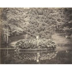 DUC DE MASSA (ANDRÉ-PHILIPPE-ALFRED REGNIE...