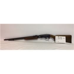 REMINGTON, .22