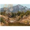 Image 1 : Bill Anton -Melting Snow