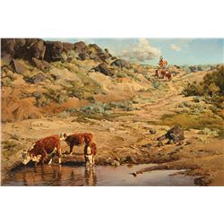 Bill Owen -Watering Hole