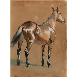Frederic Remington -Study of Brown Horse