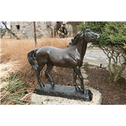 Veryl Goodnight -Spirit Horse